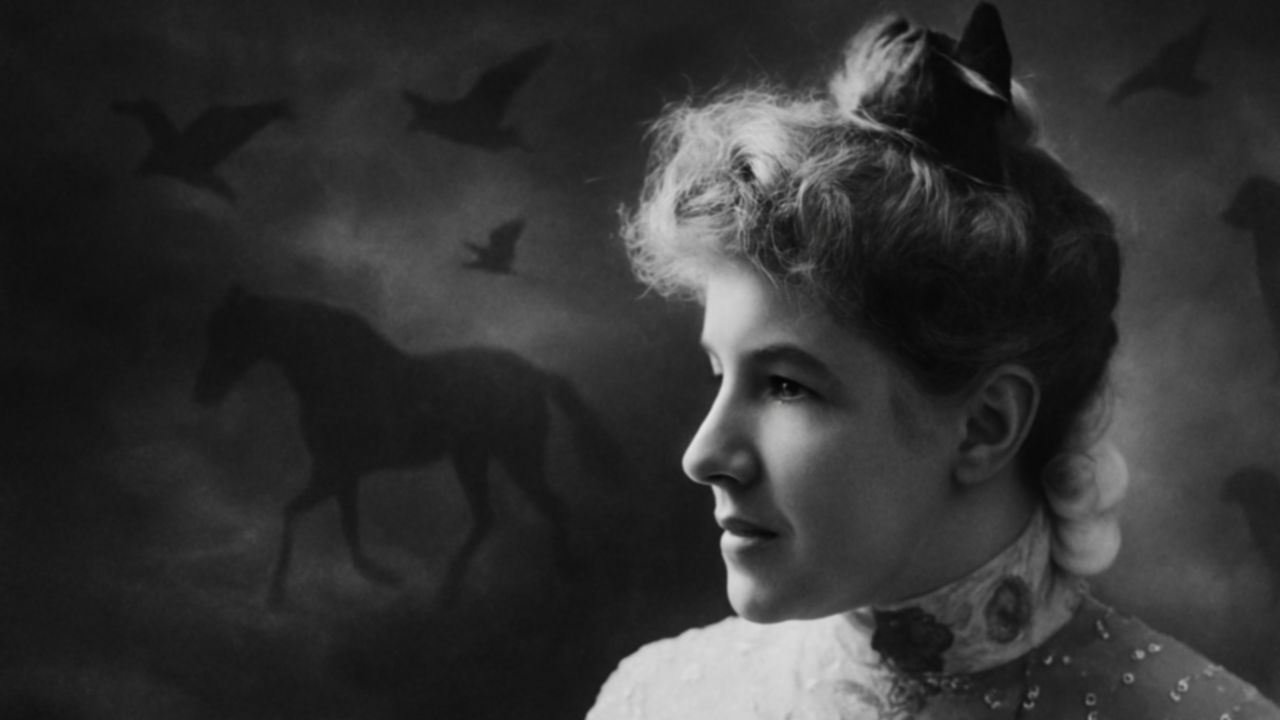 Voice Of The Voiceless